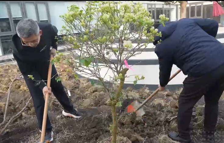 春风十里，正植有你：希倍优种下一抹绿意，让梦想发芽